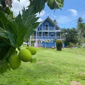 Islander House On Rocky Cay Mini-hôtel